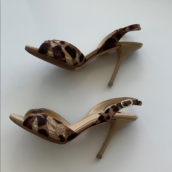Dolce & Gabbana animal print heels 👠 - Picture 7 of 8